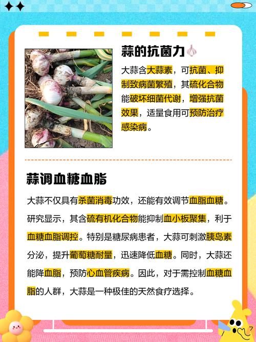 天天吃蒜對(duì)身體有什么壞處，天天釣魚(yú)